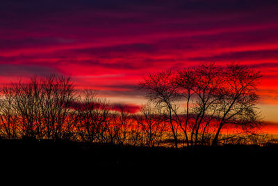 Silhouette plants against dramatic sky during sunset