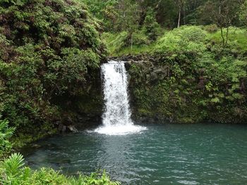 Scenic view of waterfall in forest