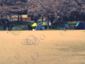 Close-up of bubbles against blurred background