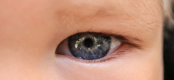 Extreme close up of human eye