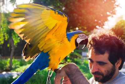 Close-up of man with parrot perching on his hand