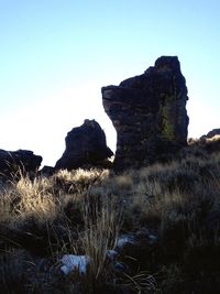 Scenic view of landscape against clear sky