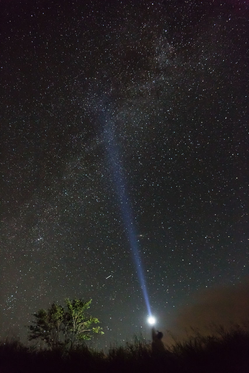 LOW ANGLE VIEW OF STAR FIELD AGAINST SKY