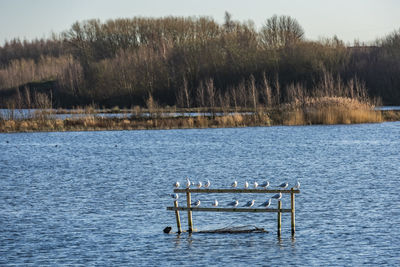 Scenic view of lake against clear sky