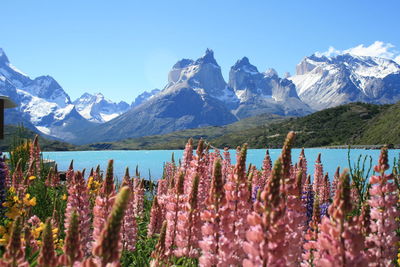 Panoramic view of snowcapped mountains against sky