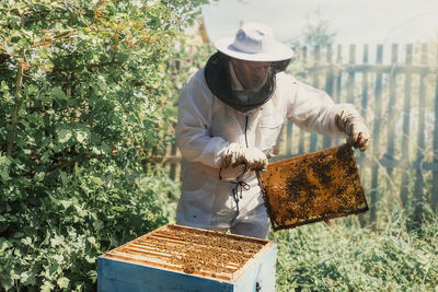 Man working with bee hives outdoors
