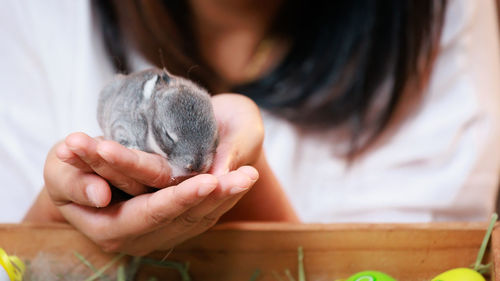 Midsection of woman holding baby rabbit