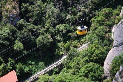 High angle view of overhead cable car amidst trees