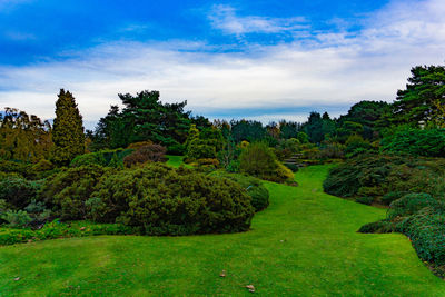 Trees in park against sky