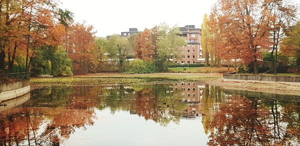 Reflection of trees in lake against buildings in city