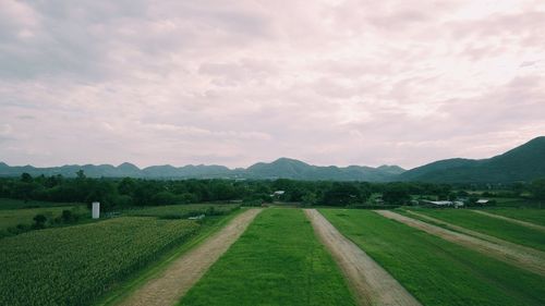Scenic view of agricultural field against sky