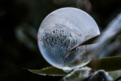 Close-up of crystal ball