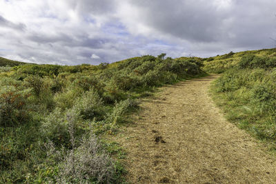 Dunes nature reserve egmond - scenic view of landscape against sky