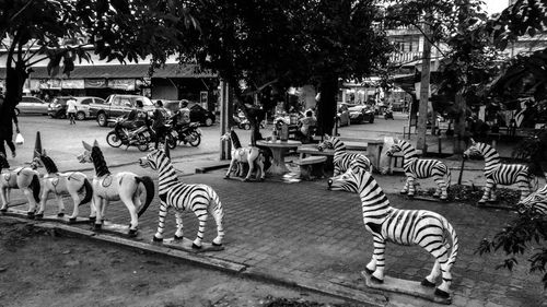 View of zebra crossing on street in city