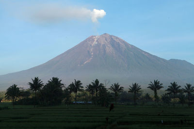 volcano