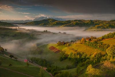 Scenic view of field against sky during foggy weather