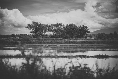 Reflection of trees in lake against sky