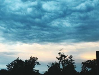 Low angle view of silhouette trees against sky