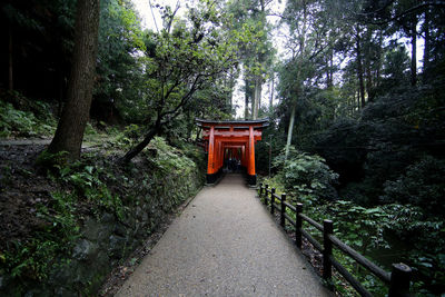 Gazebo amidst trees and building in forest