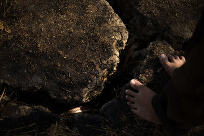 Low section of person standing on rock