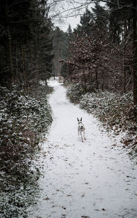 People walking on snow covered landscape