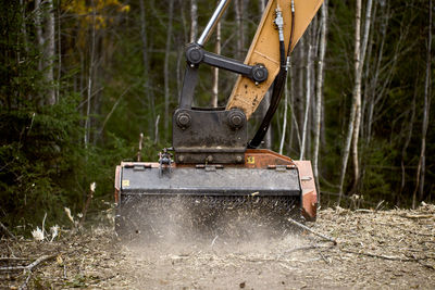 High angle view of crane in forest