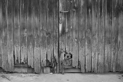 Dog peeking through wooden gate