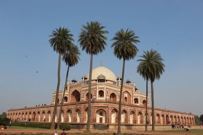 Palm trees outside humayun tomb against clear blue sky