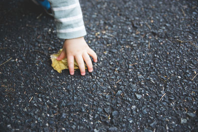 Cropped hand of kid holding leaf on road