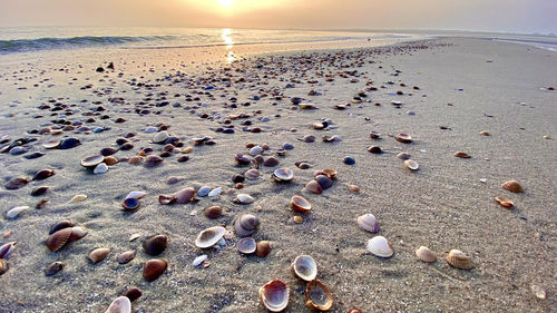 Surface level of beach against sky during sunset