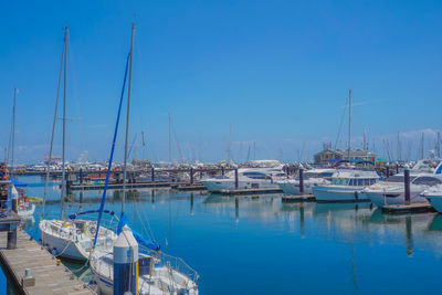 Boats moored at harbor