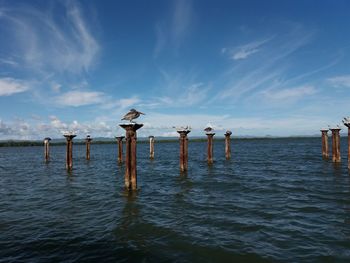 Wooden posts in sea against sky