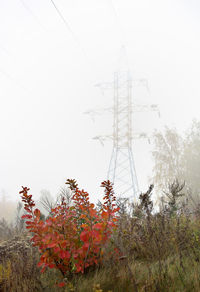 Trees and electricity pylon against clear sky