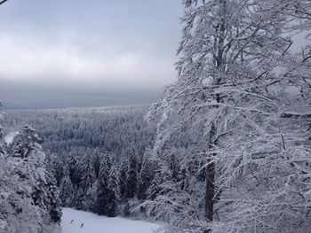 Scenic view of snow covered landscape