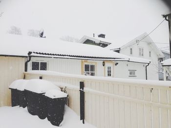 Snow covered trees