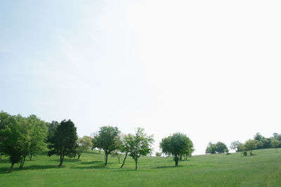 Trees on field against sky