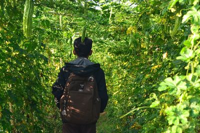 Rear view of man standing by tree