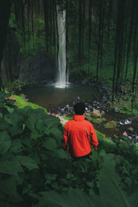 Rear view of young man looking at waterfall while standing on plants in forest