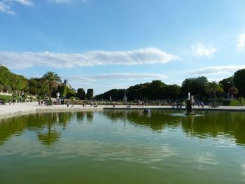 Reflection of trees in water