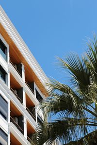 Low angle view of palm tree and building against blue sky