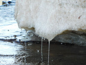 Close-up of ice on water