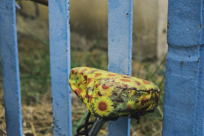 Close-up of bird perching on metal