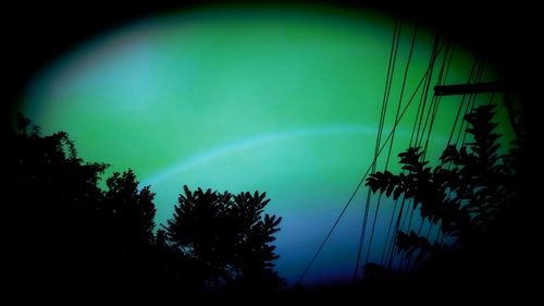 Low angle view of trees against rainbow in sky