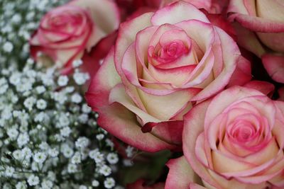 Close-up of rose bouquet