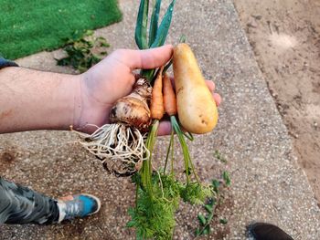 Low section of woman holding plant