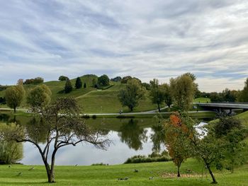 Trees on field against sky