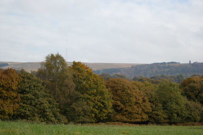 Trees on field against sky