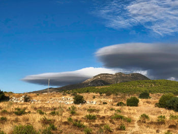 Scenic view of landscape against sky