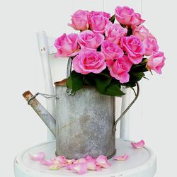 Close-up of pink roses in vase against white background