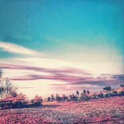 Scenic view of landscape against sky at sunset